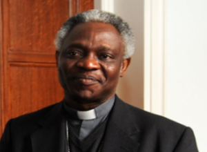 Il card. Turkson: bisogna educare a comprendere che le persone LGBT "non commettono un crimine"